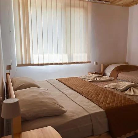 диво цвете بيت للعطل Stokite